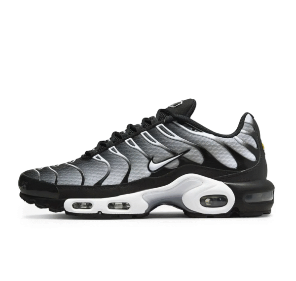 NIKE Air Max Plus “Black Silver”